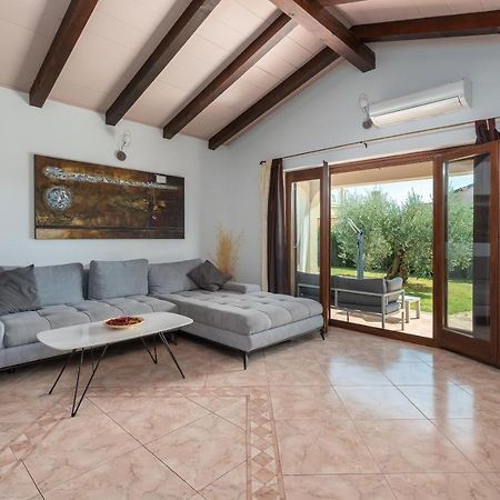 Villa Lucas Novigrad Istria Exteriör bild
